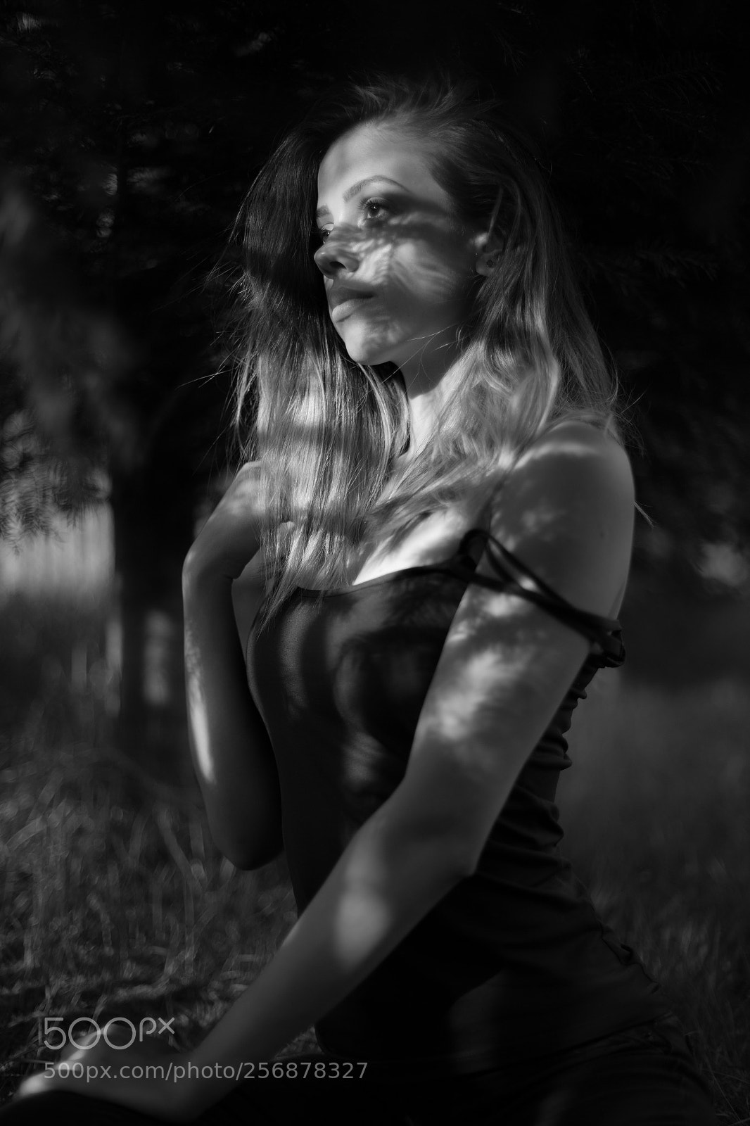 Canon EOS 6D sample photo. Untitled photography