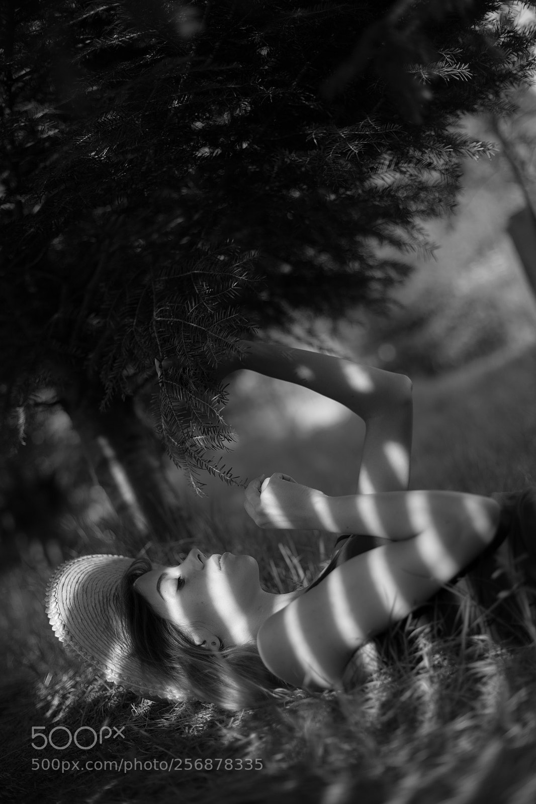 Canon EOS 6D sample photo. Untitled photography