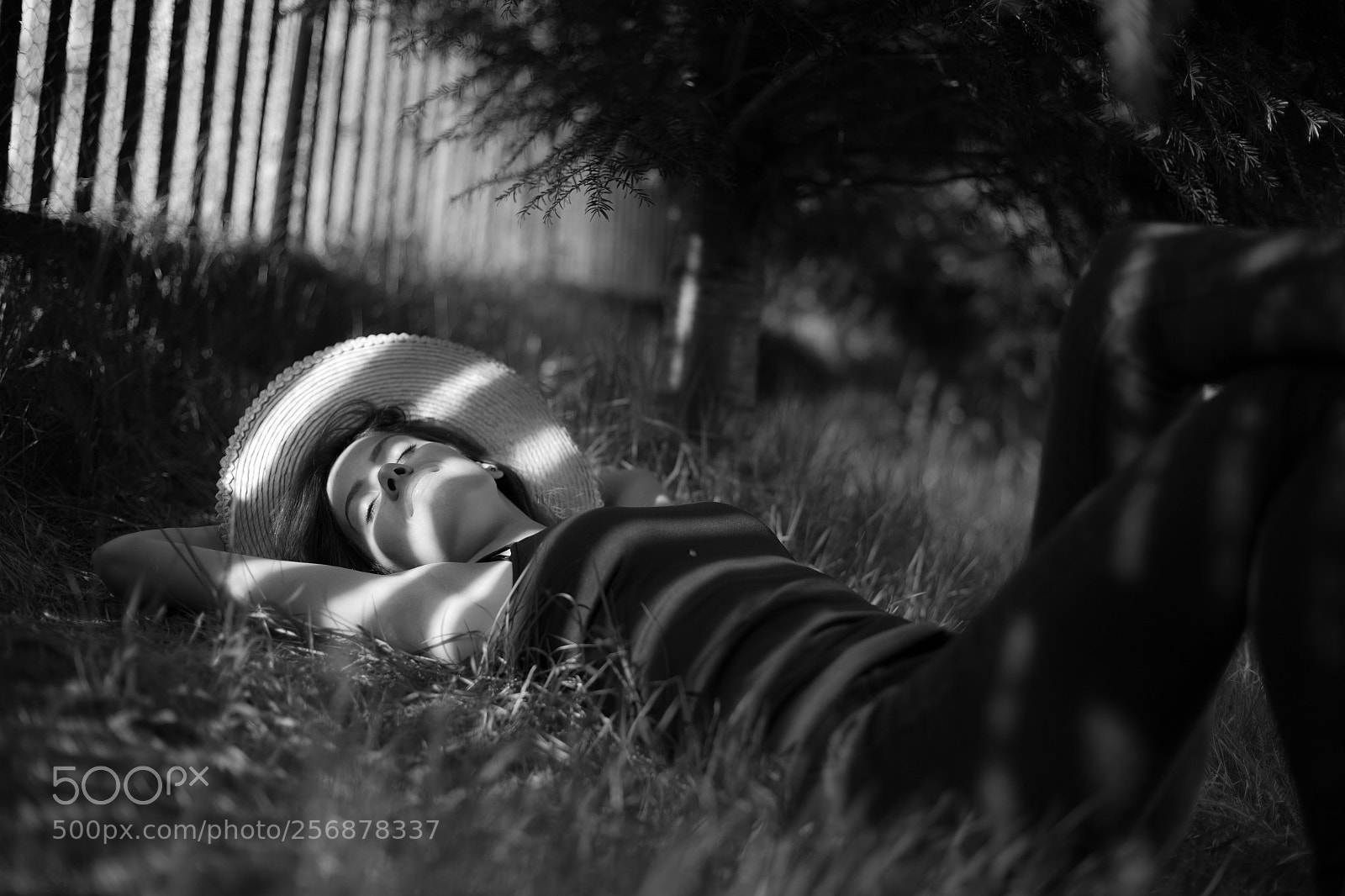 Canon EOS 6D sample photo. Untitled photography