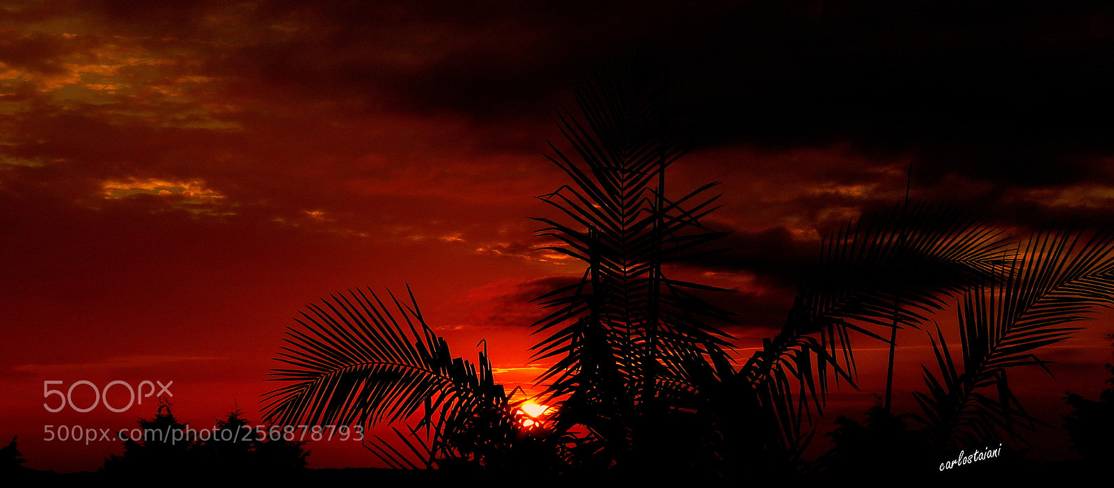 Canon PowerShot SX60 HS sample photo. Sunset ....hot photography