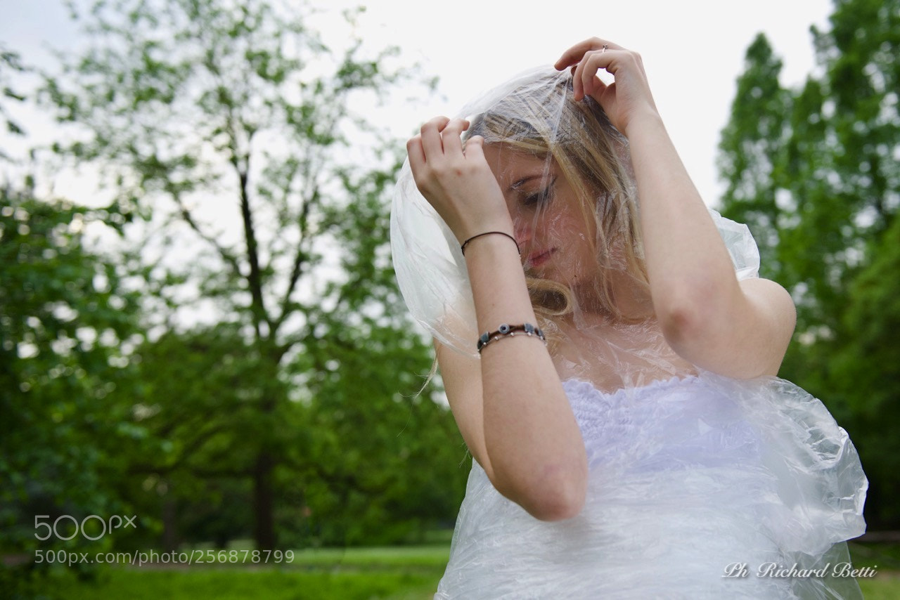 Nikon D750 sample photo. -2265.jpg photography