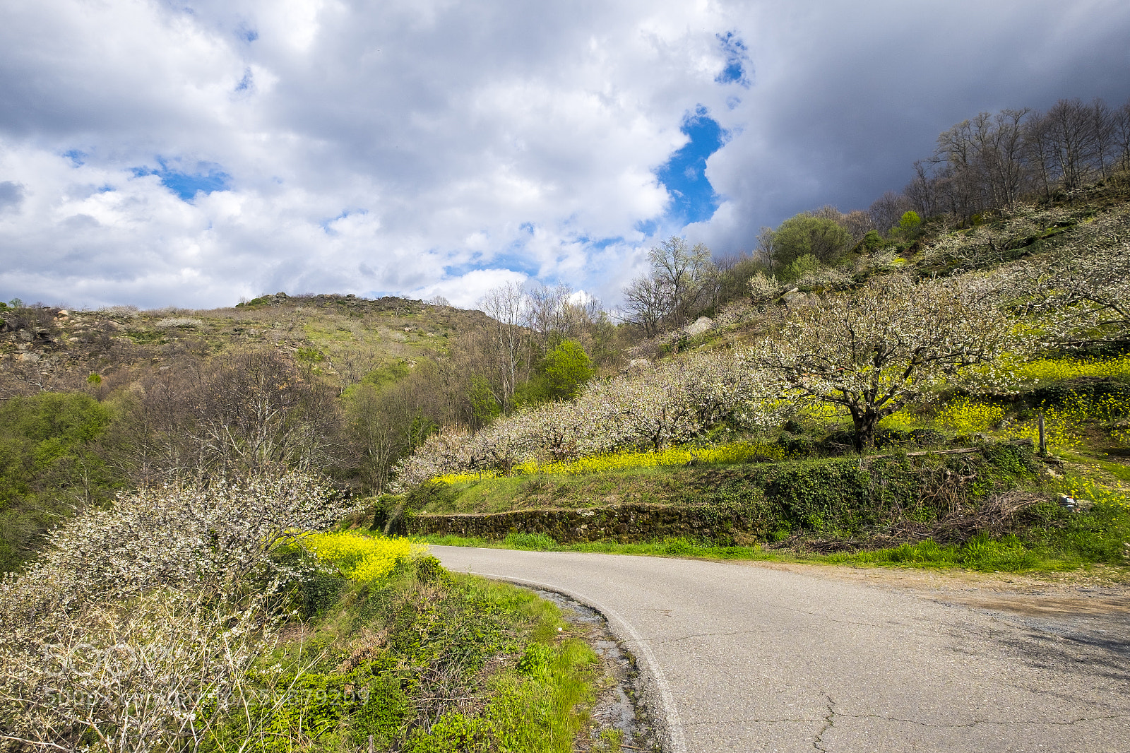 Fujifilm X-T10 sample photo. Landscape in caceres photography