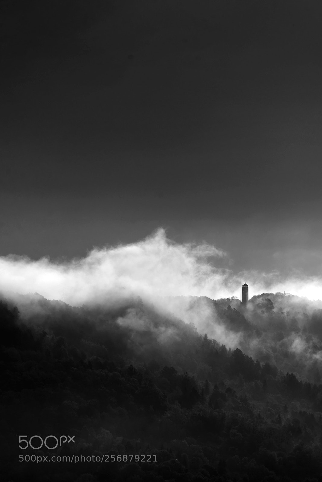 Nikon D750 sample photo. View from my window photography
