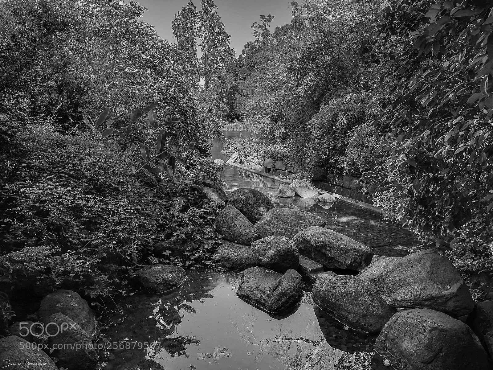 HUAWEI CLT-L29 sample photo. The valley garden photography