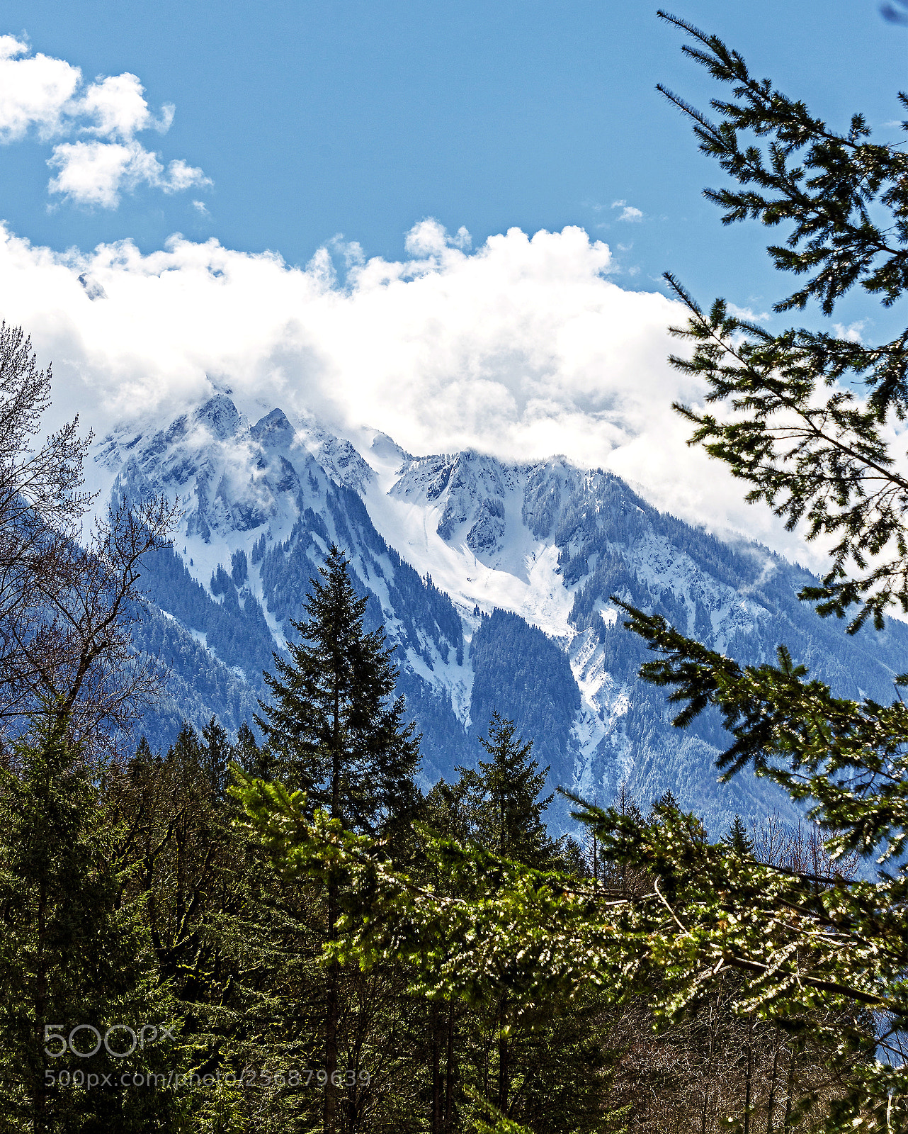Nikon D610 sample photo. Winter's last fling photography