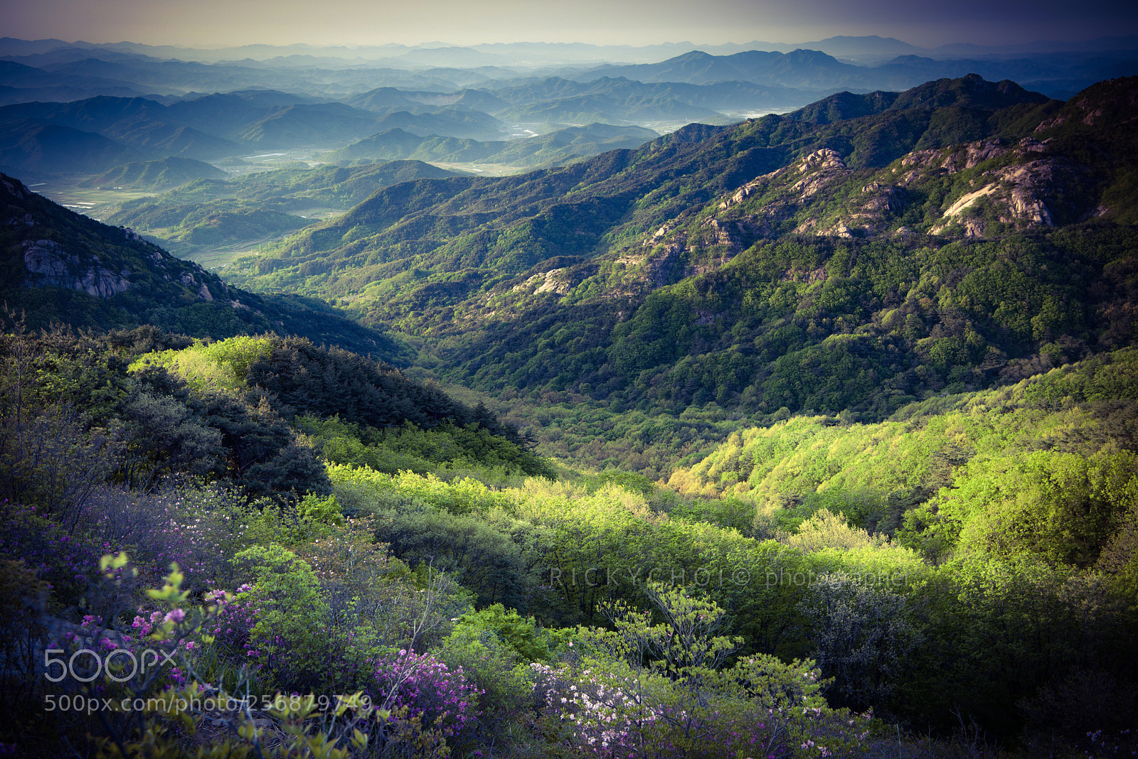 Nikon D810 sample photo. Hwangmaesan mountain valley photography