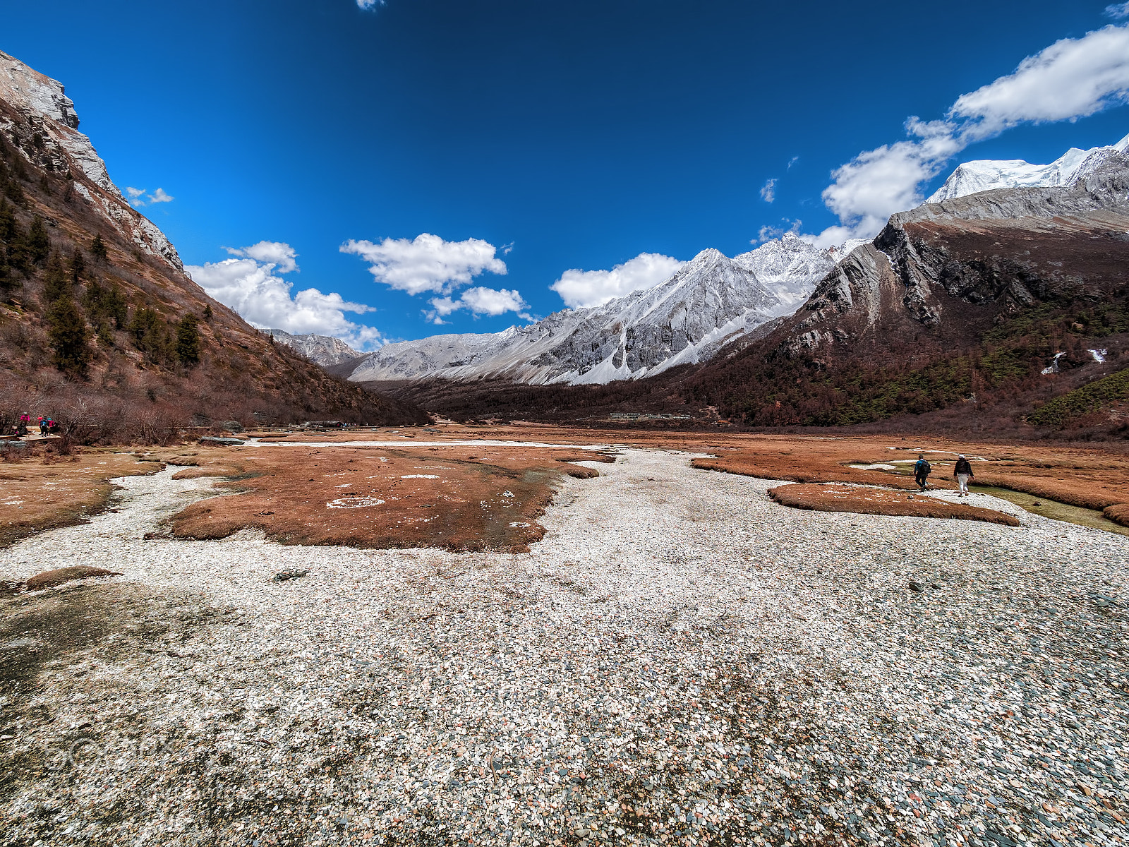 Olympus OM-D E-M1 Mark II sample photo. Yading nature reserve of photography