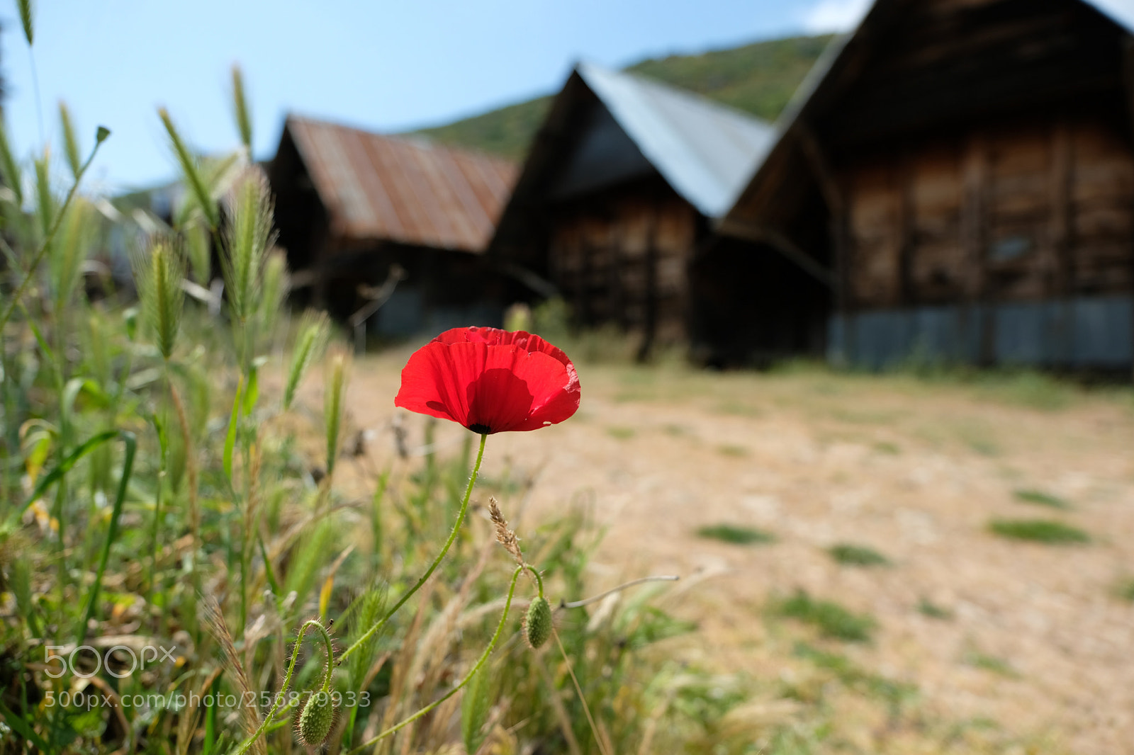 Fujifilm X-T2 sample photo. Dscf photography