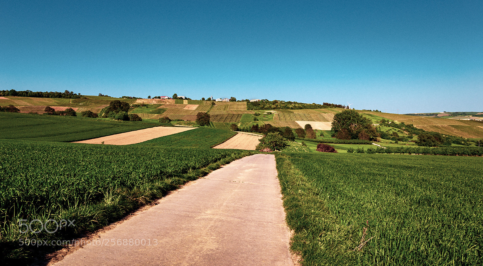 Canon EOS 6D sample photo. Rural scene photography