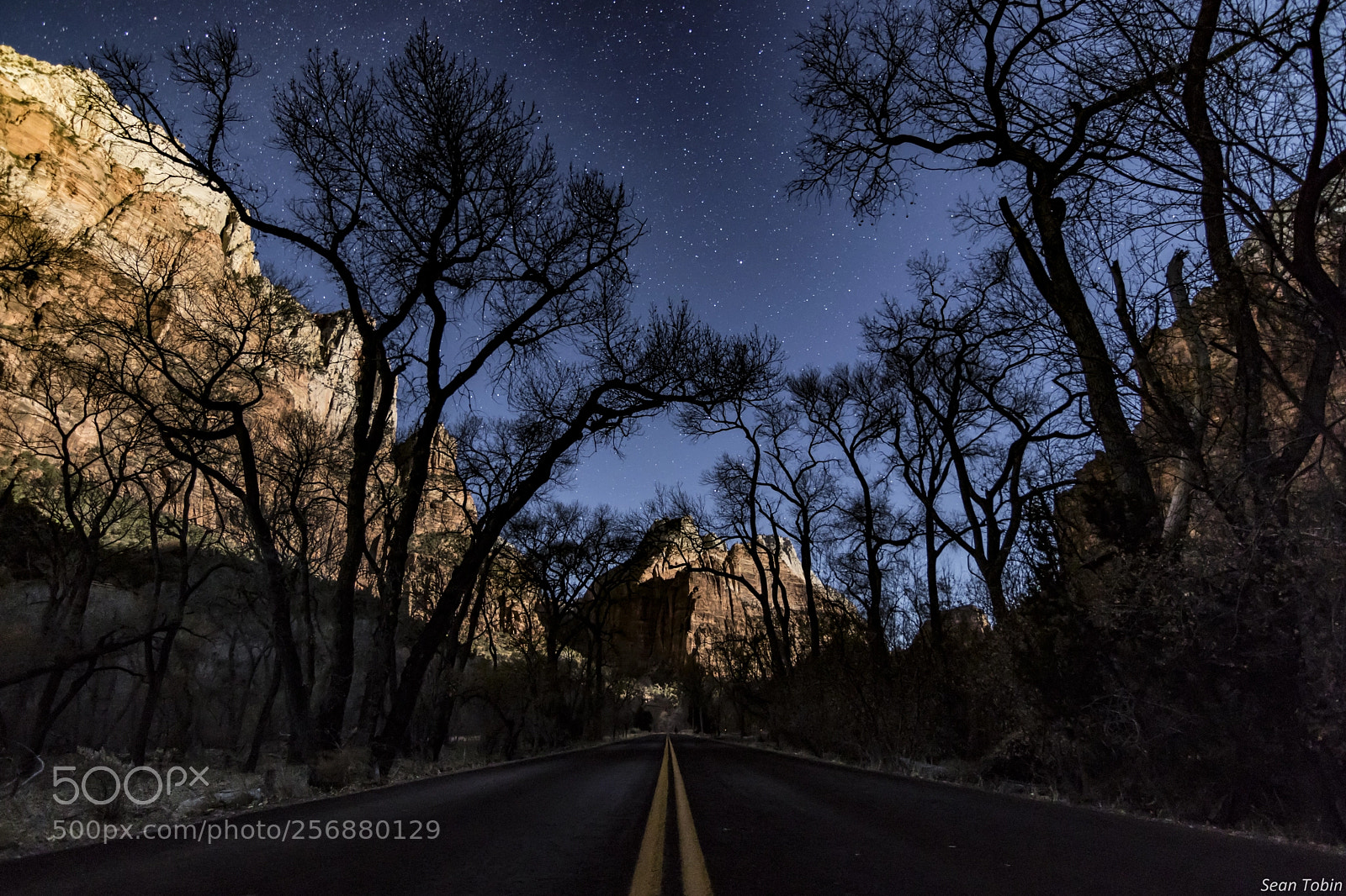 Canon EOS 80D sample photo. Zion at night photography