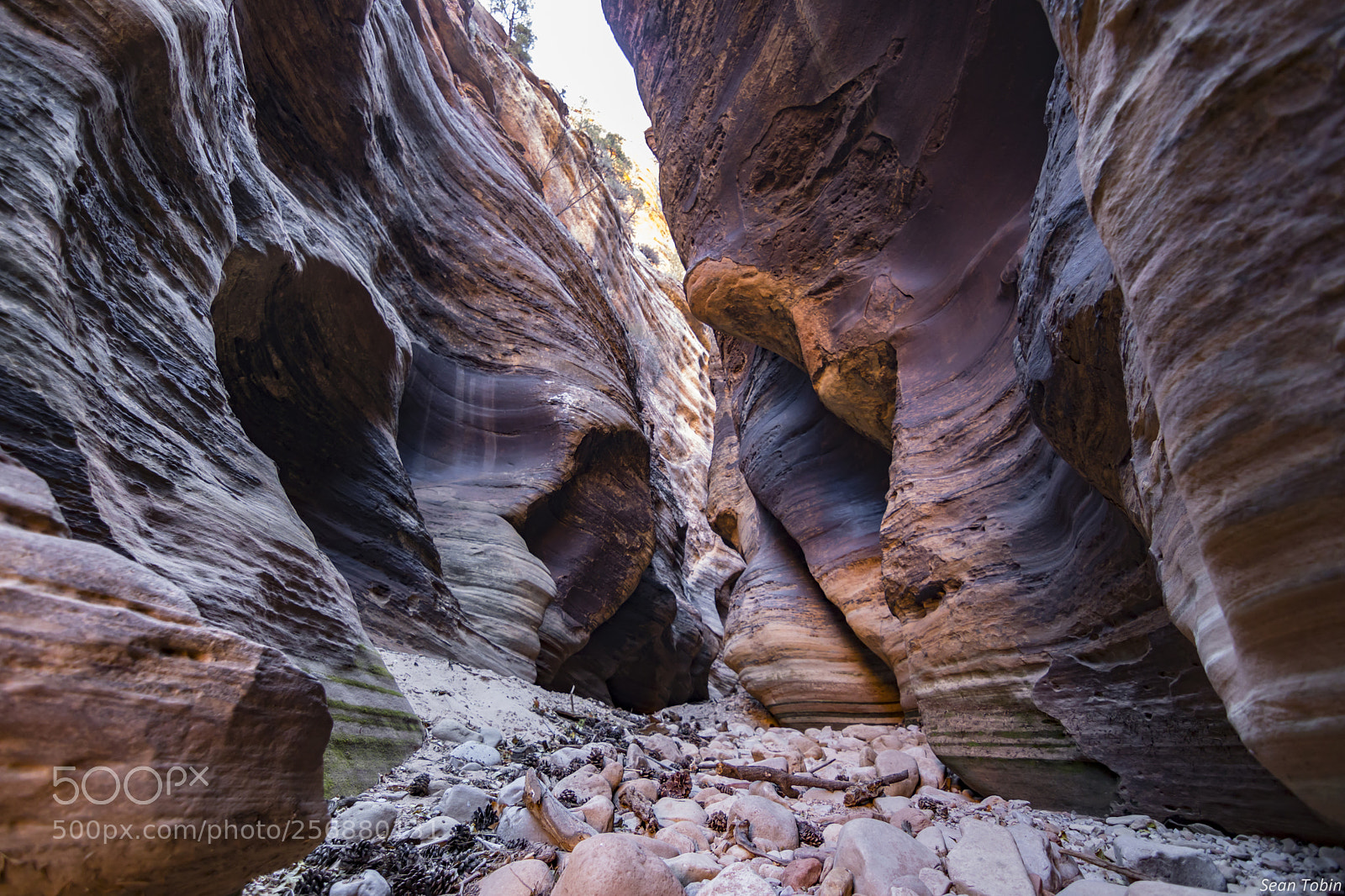 Canon EOS 80D sample photo. Pine creek at zion photography