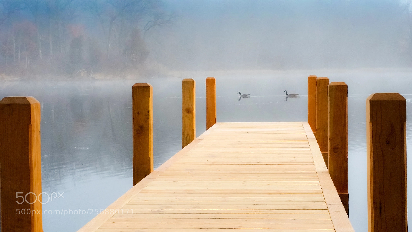 Samsung Galaxy S5 sample photo. Foggy morning photography