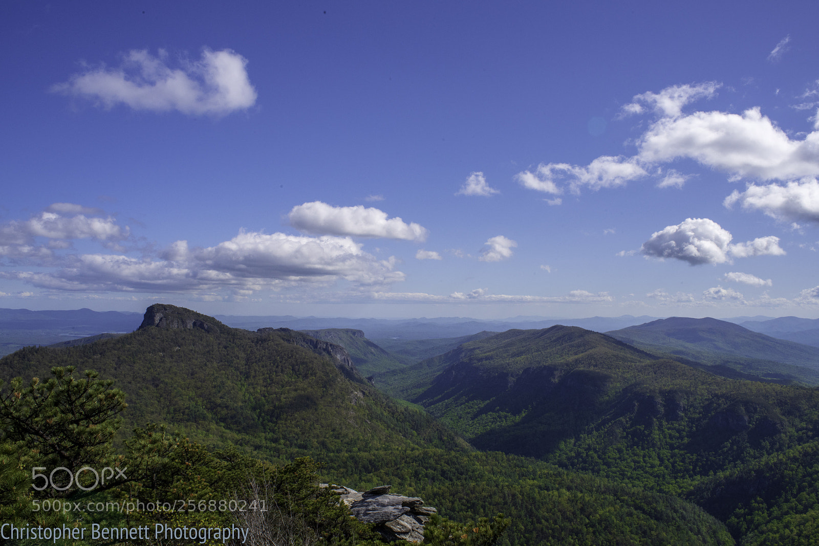 Nikon D850 sample photo. View from on top photography