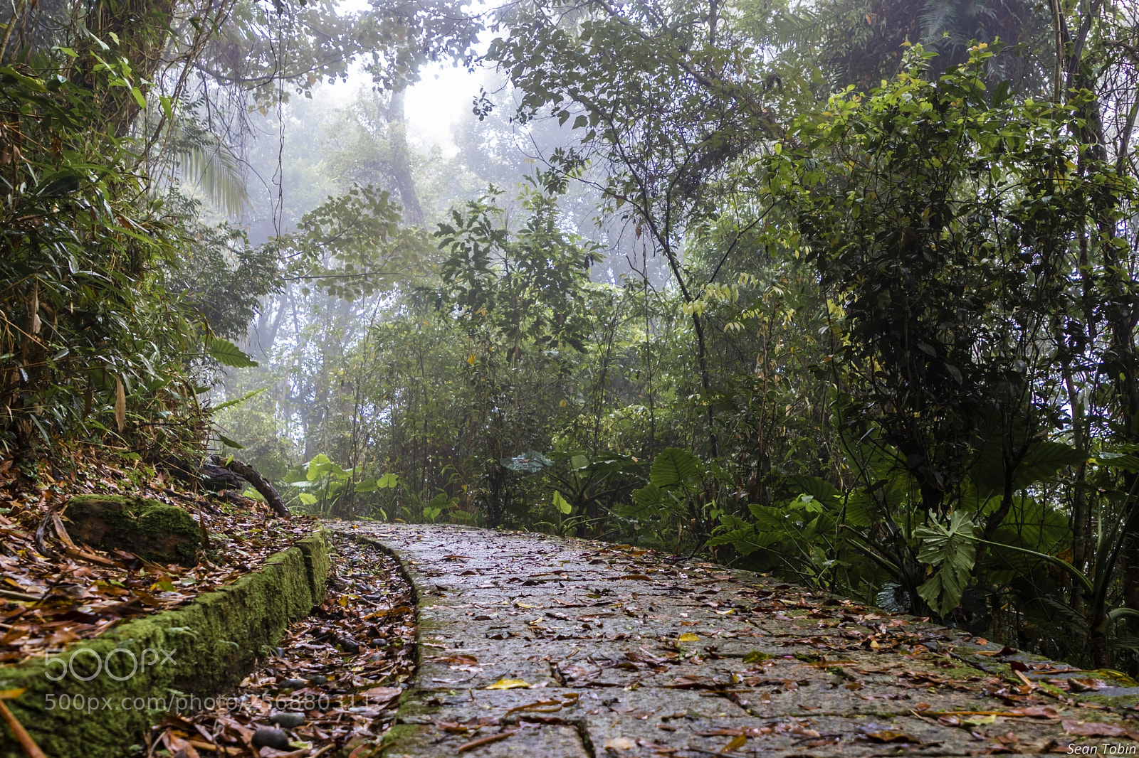 Canon EOS 80D sample photo. Foggy day photography