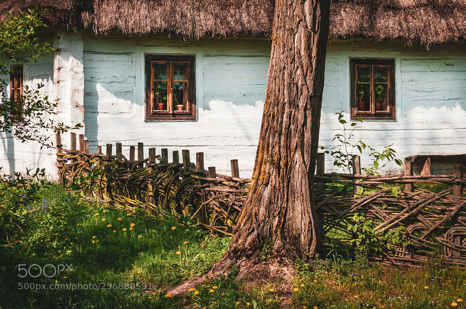 Nikon D300 sample photo. Old hut and spring photography