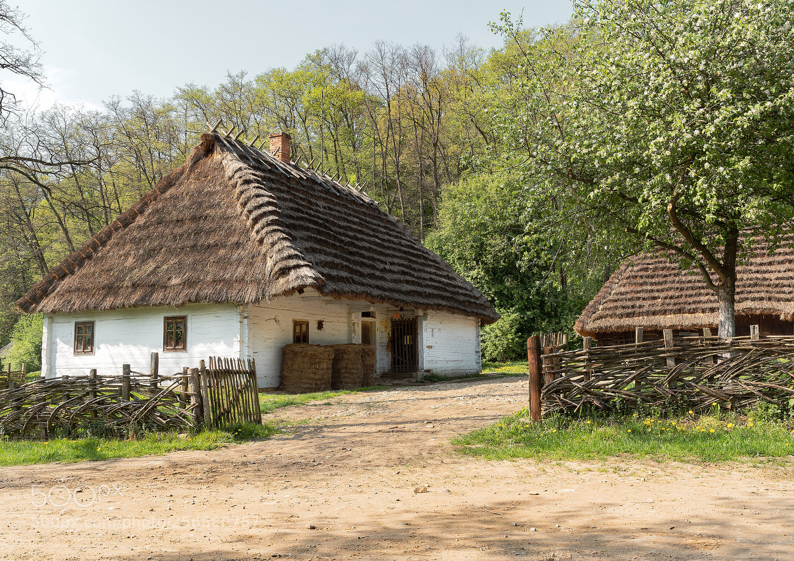 Nikon D500 sample photo. Old wooden hut and photography