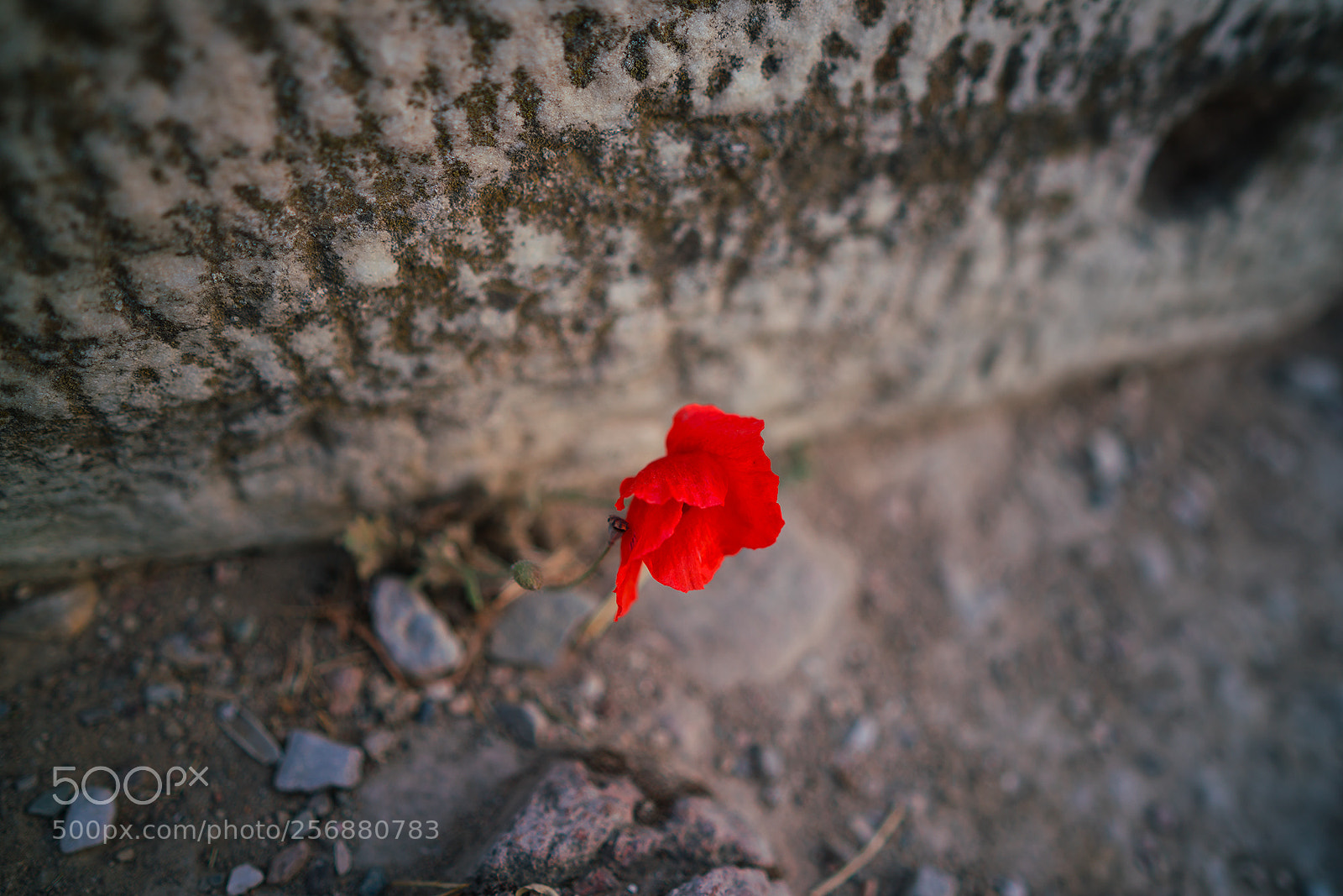 Sony a7R II sample photo. Akropoli photography
