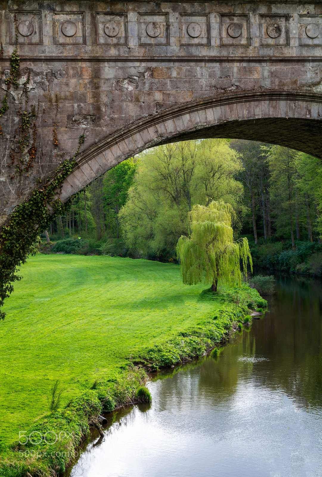 Nikon D7100 sample photo. Bridge photography