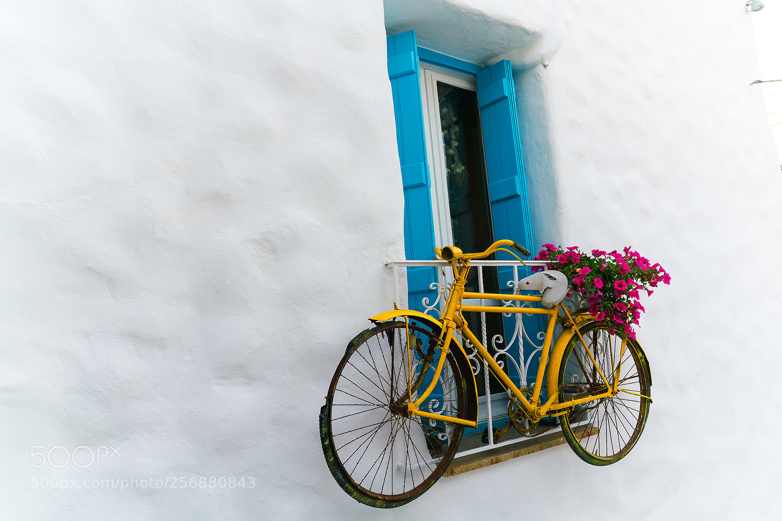 Sony a7R II sample photo. Apostoli's photography
