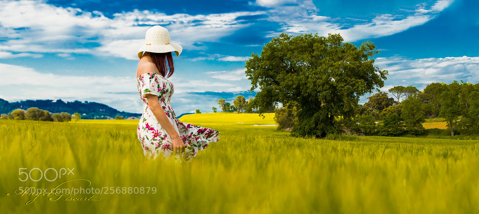 Nikon D3300 sample photo. Panorama photography