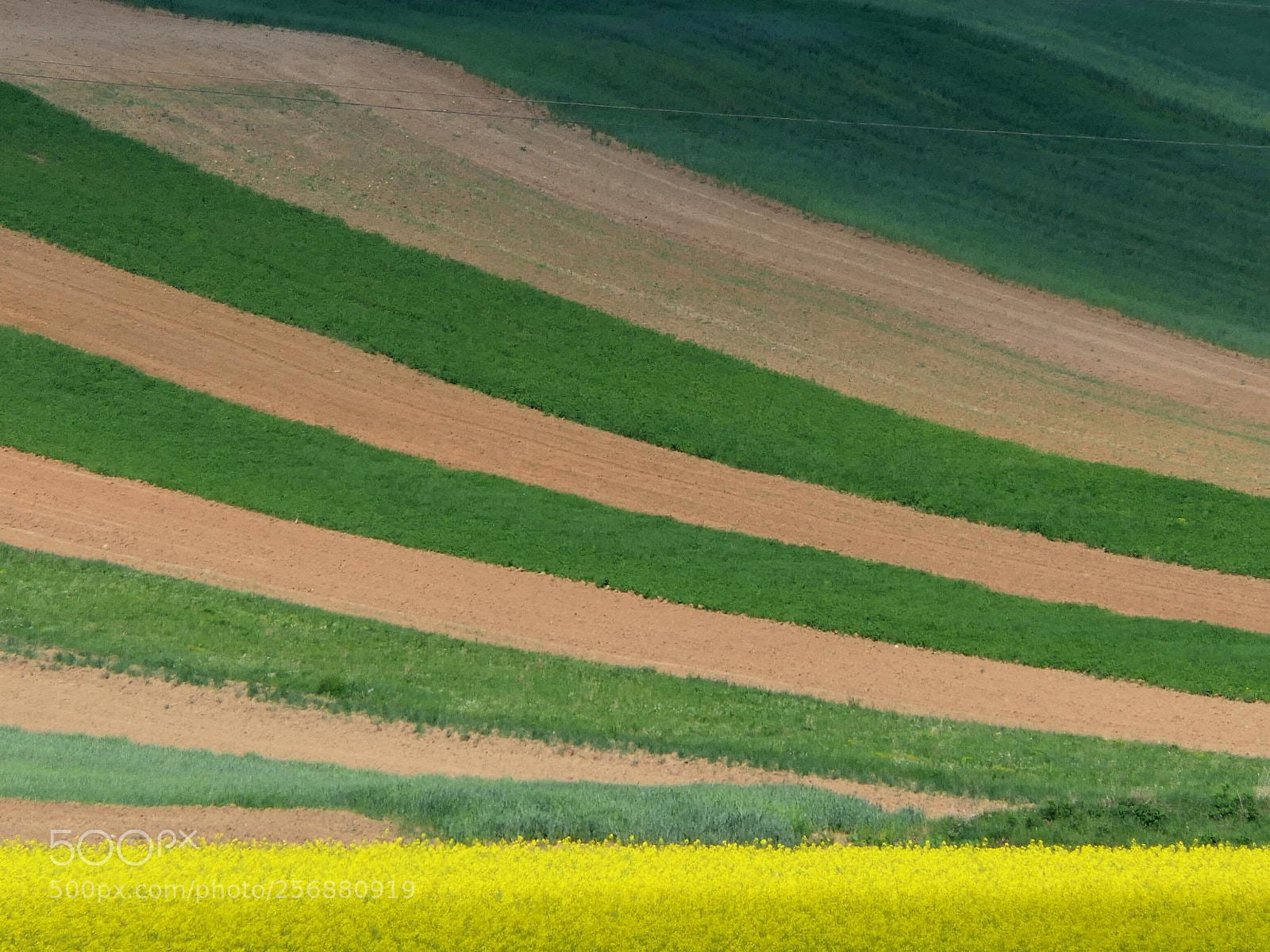 Panasonic Lumix DMC-FZ2500 (Lumix DMC-FZ2000) sample photo. Spring geometry and colors photography