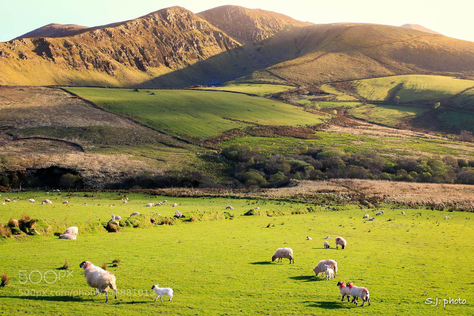 Canon EOS 70D sample photo. Ireland, co. kerry photography