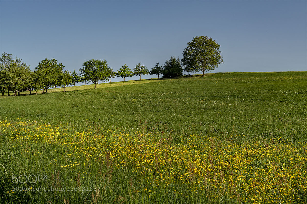 Sony a7R II sample photo. Eningen 060518-002 photography