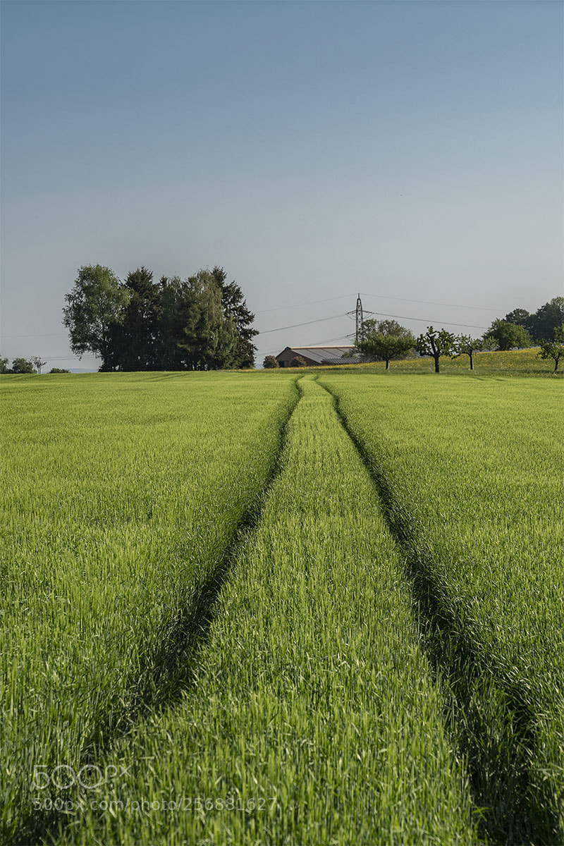 Sony a7R II sample photo. Eningen 060518-004 photography