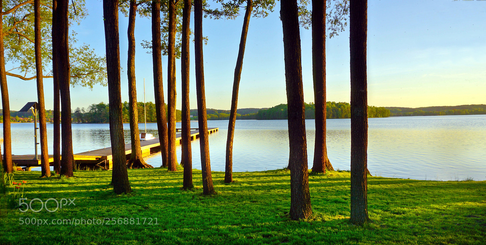 Sony a6000 sample photo. Forest and lake photography