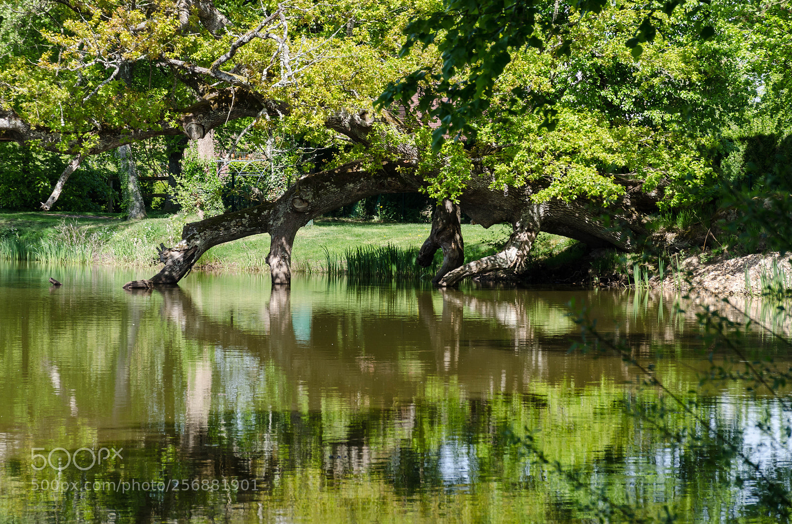 Nikon D7000 sample photo. Balade pr s d'un photography