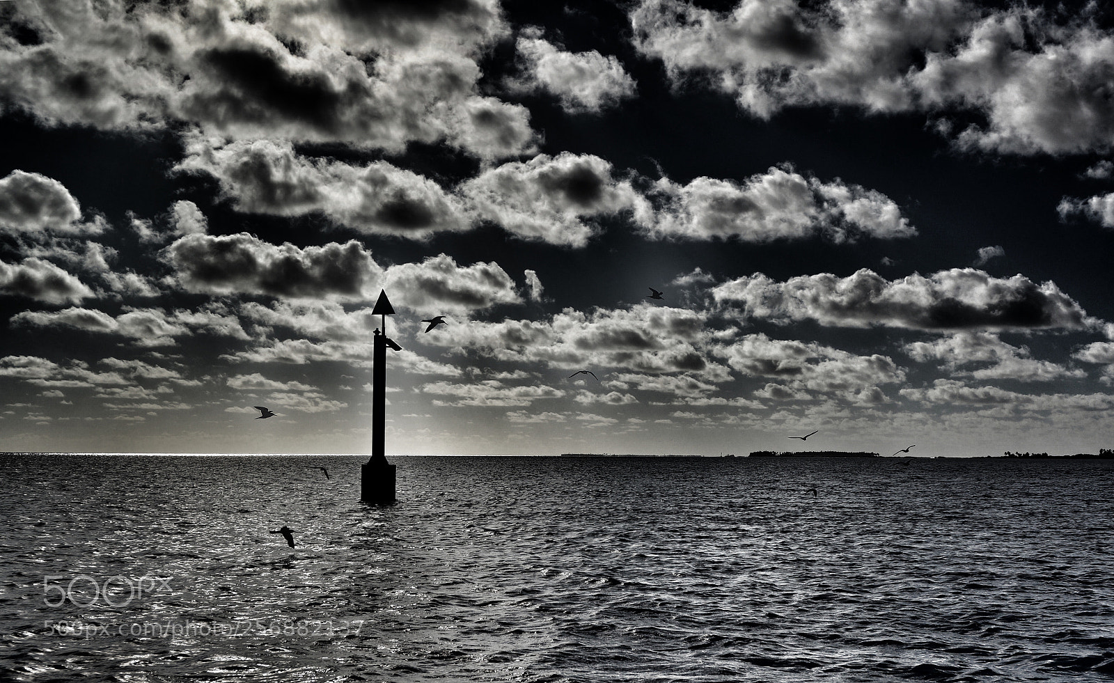 Sony Alpha NEX-6 sample photo. Horizon over water photography