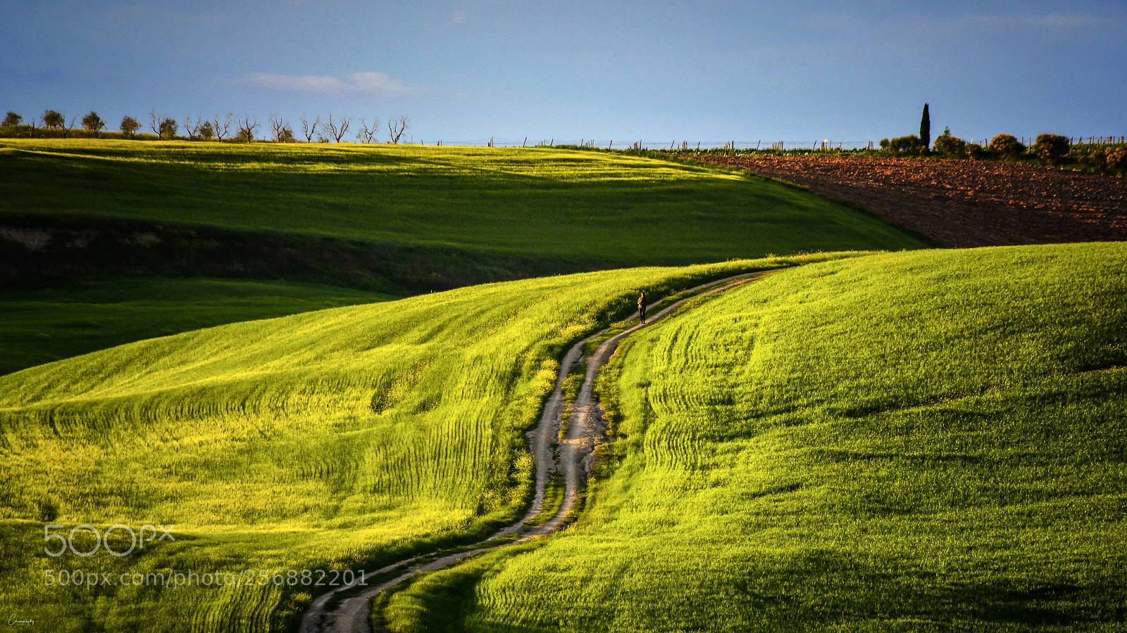 Nikon D7100 sample photo. The tuscan path photography