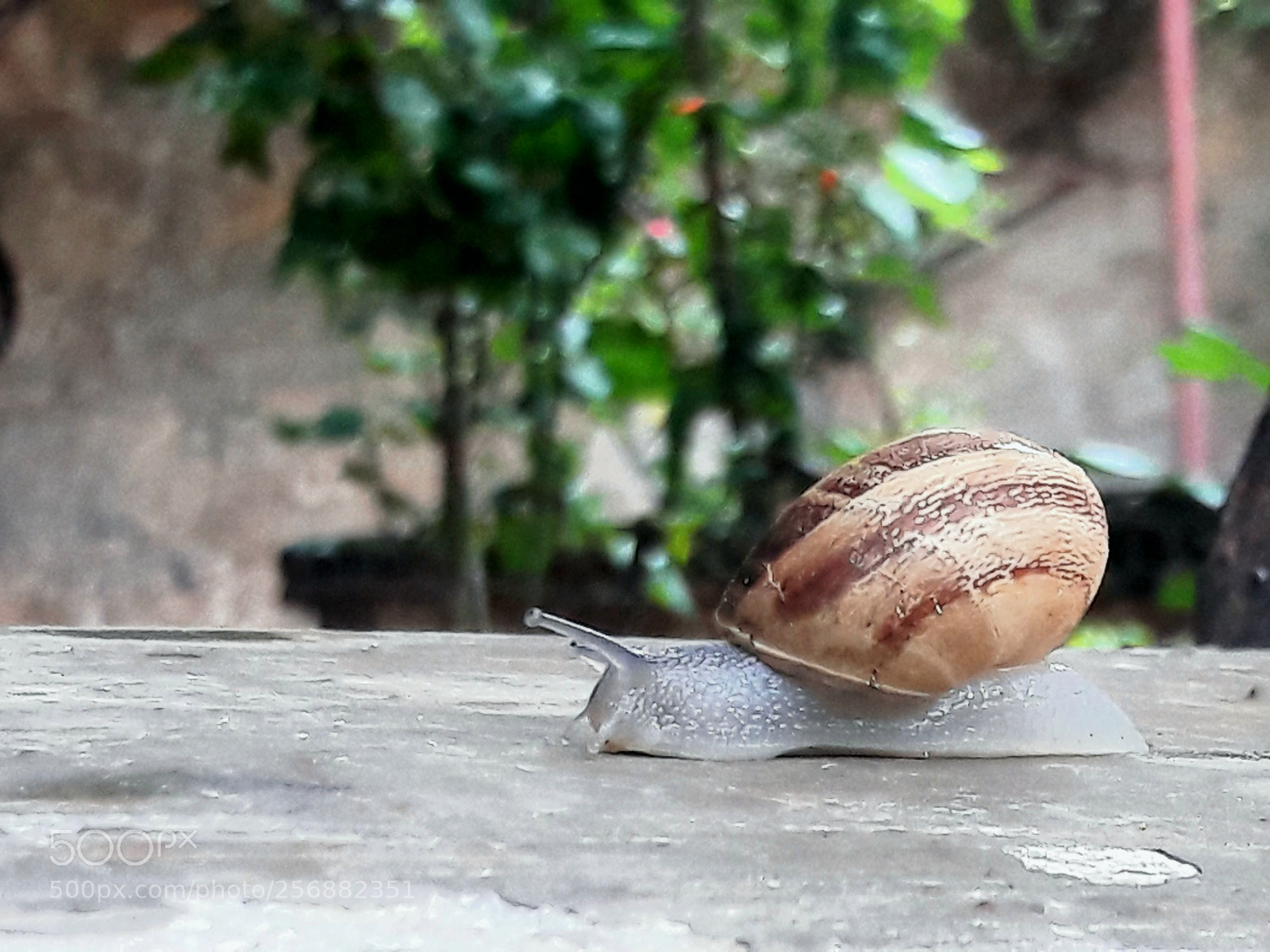 Samsung Galaxy A5(2016) sample photo. Untitled photography