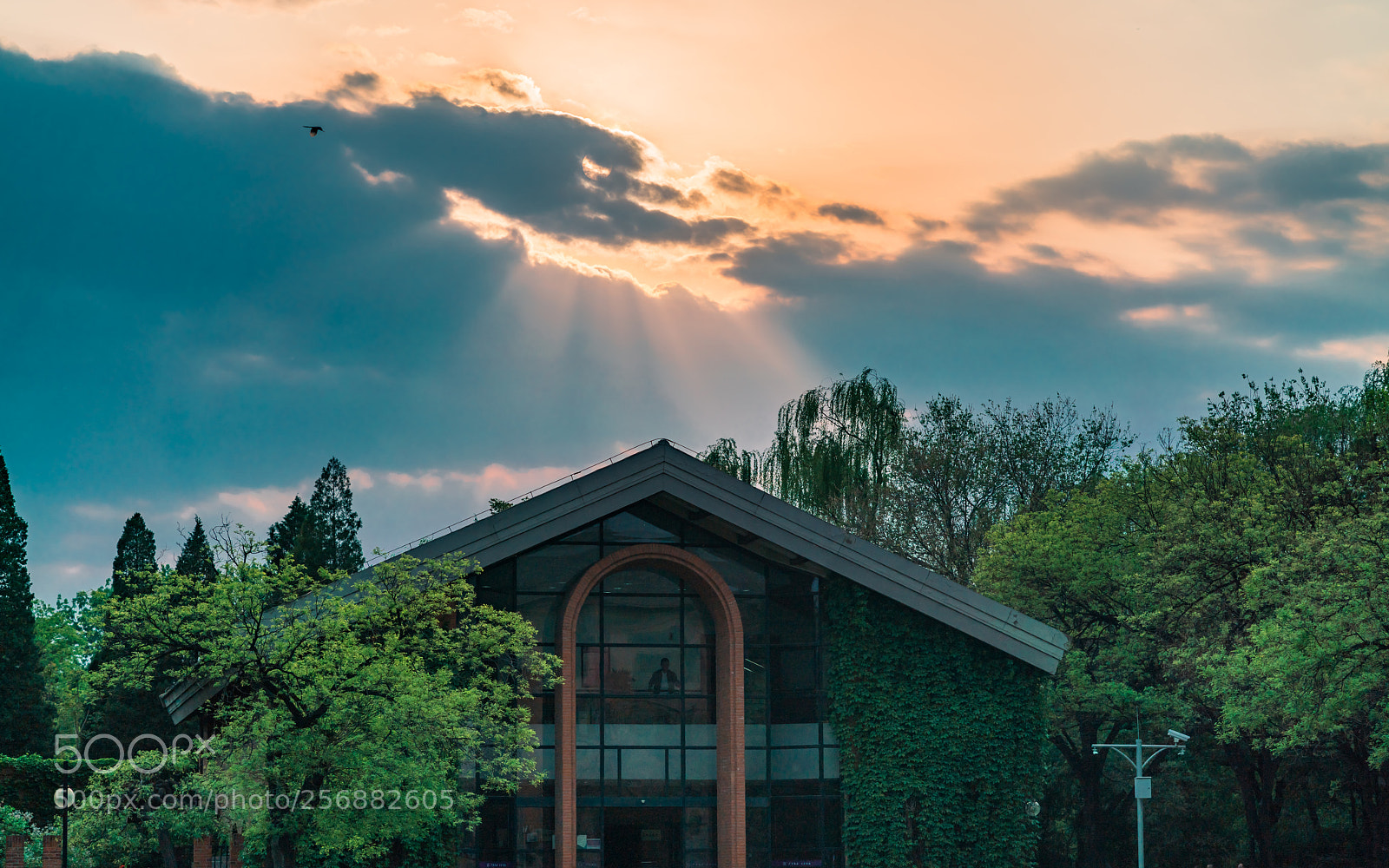 Sony a7R II sample photo. Light photography