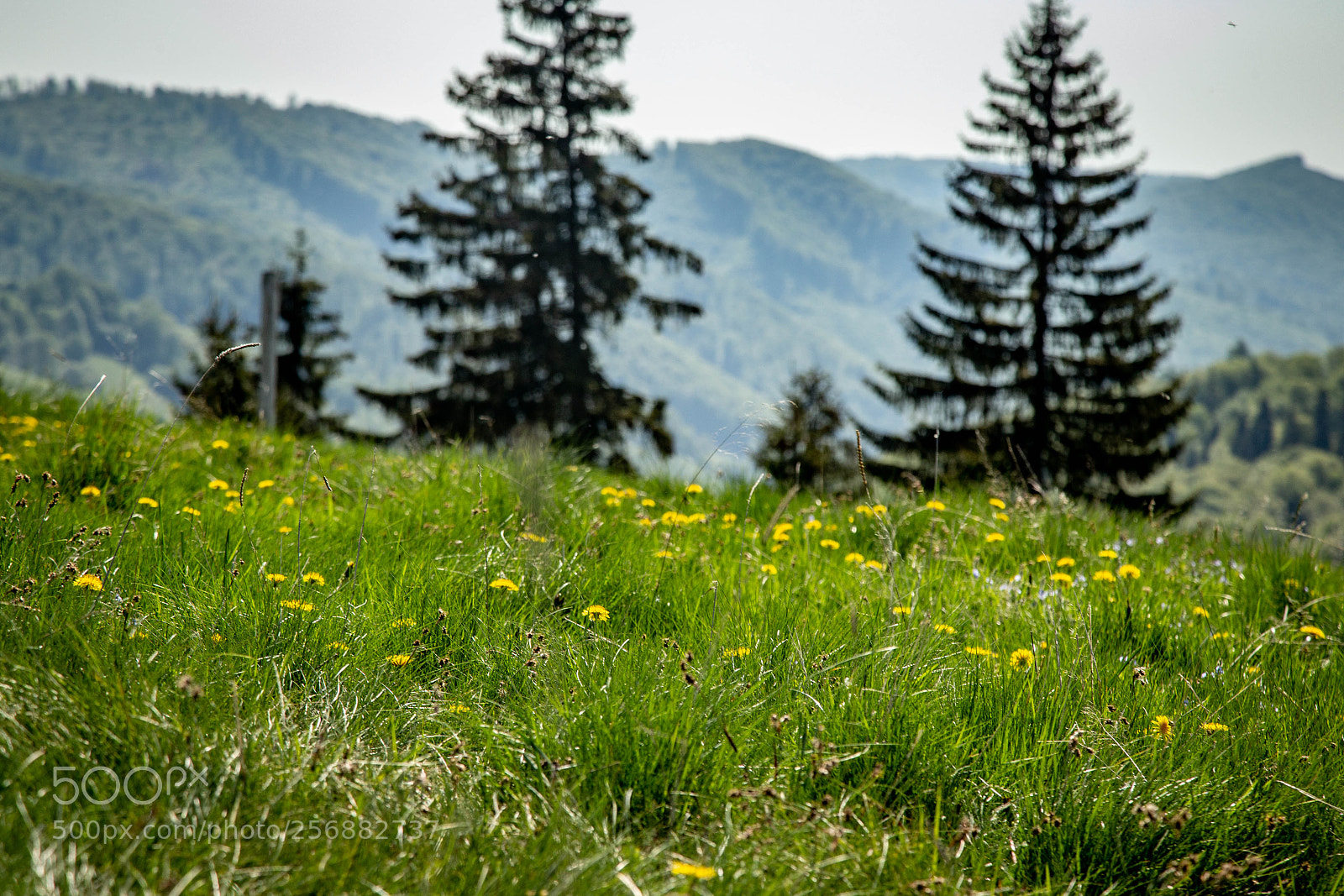Canon EOS 6D sample photo. At the edge of photography
