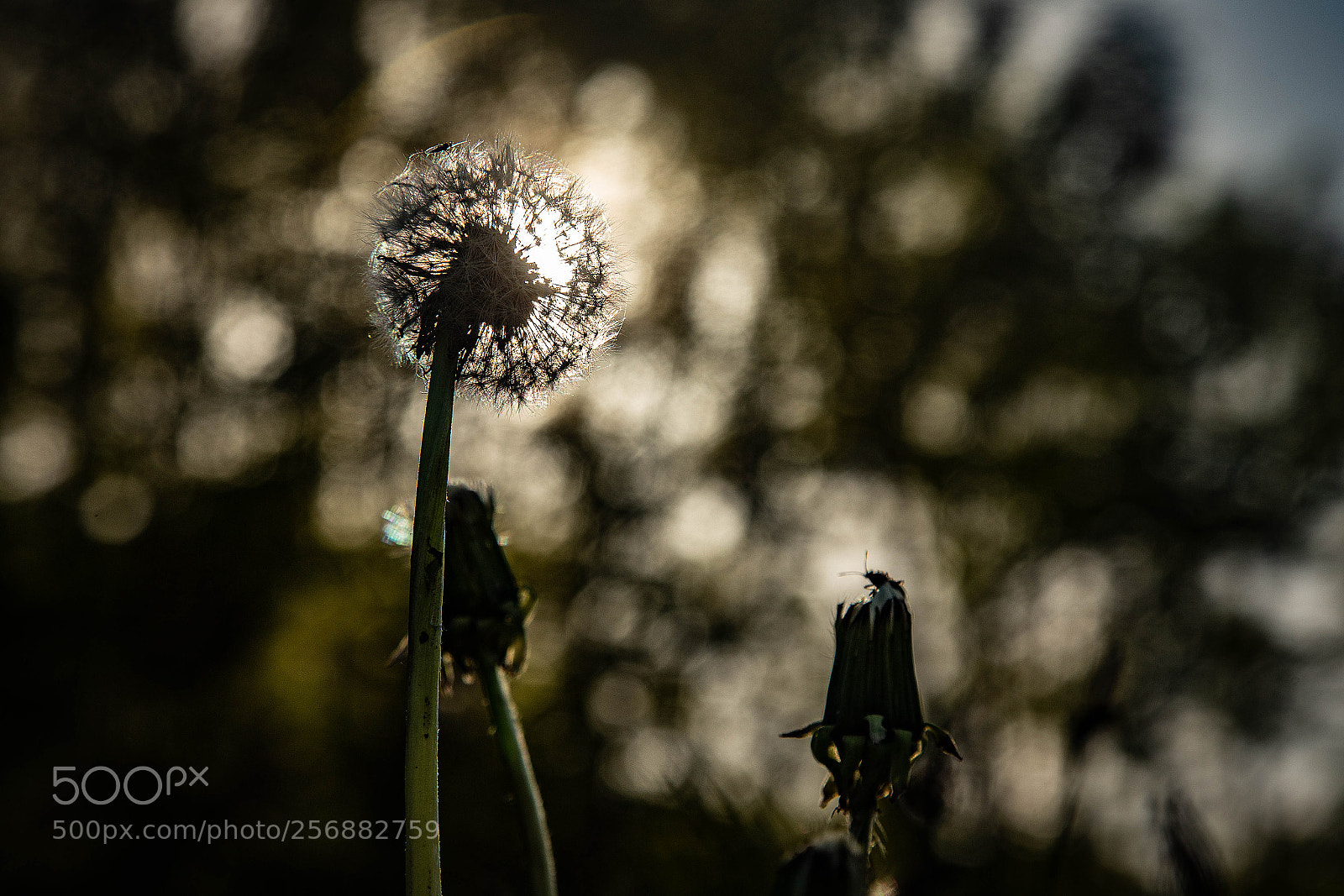 Canon EOS 6D sample photo. Long way to the photography