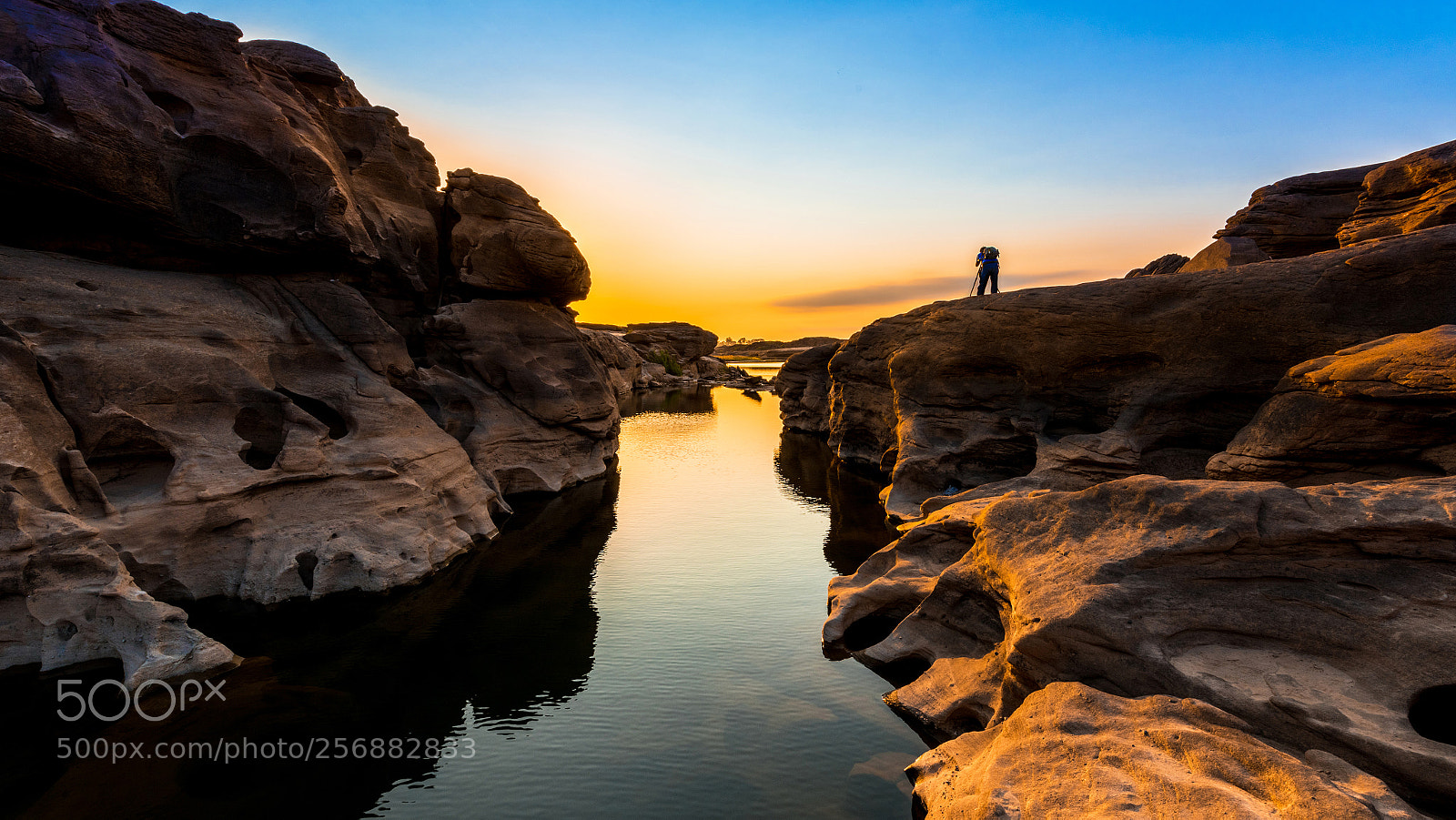 Nikon D810 sample photo. Photographers take a photo photography
