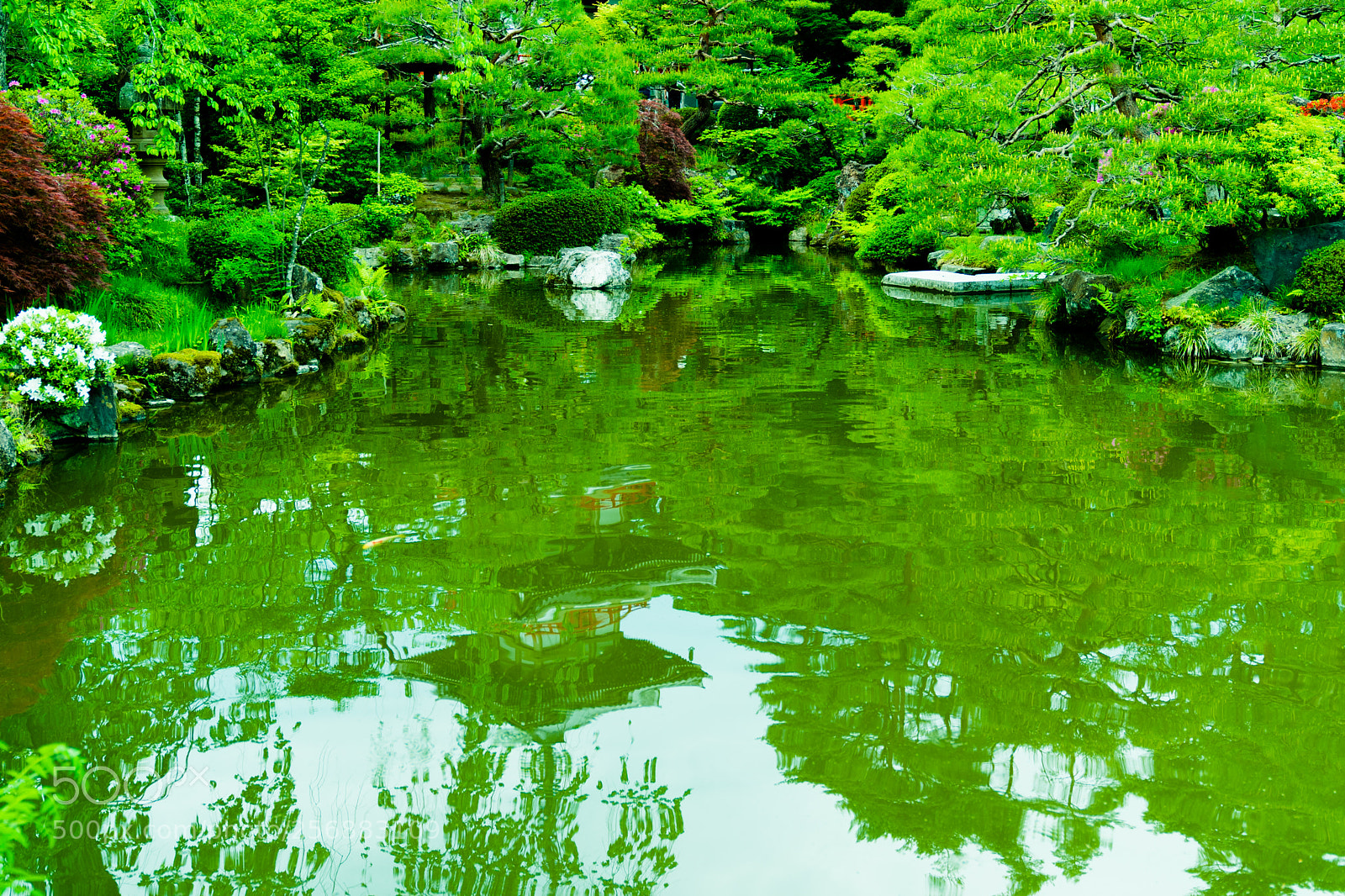 Sony a7 II sample photo. Reflection photography