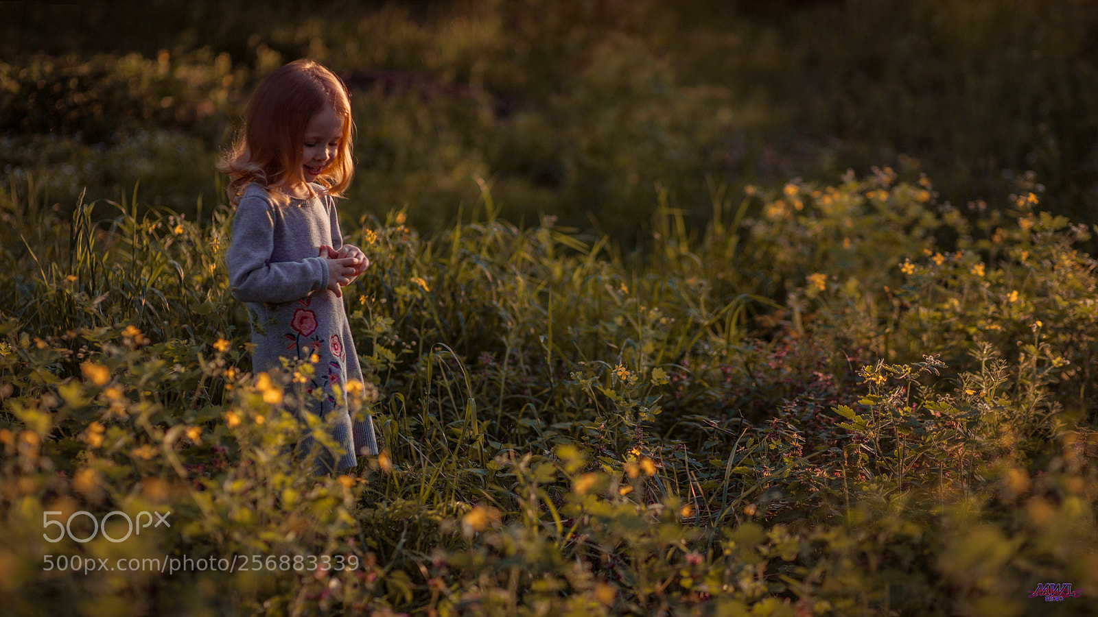 Canon EOS 5D Mark II sample photo. Little sophie sunset photography
