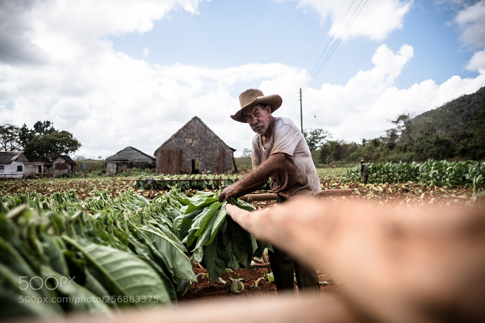 Fujifilm X-Pro2 sample photo. Viñales photography