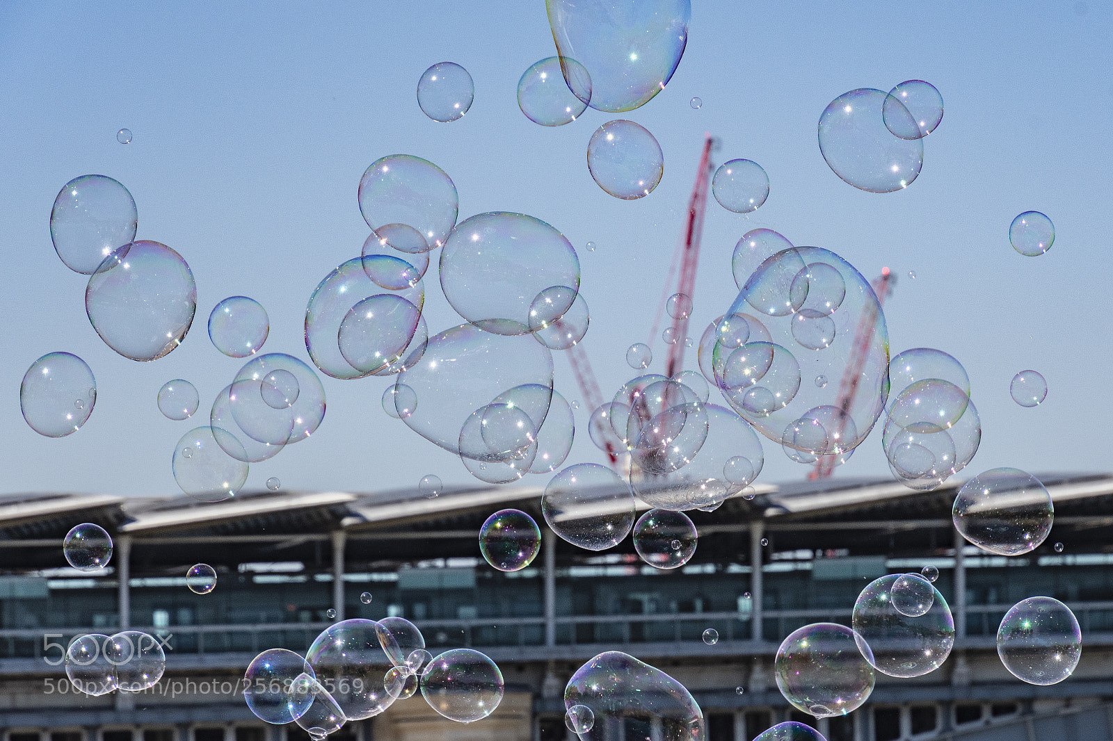 Nikon D500 sample photo. May i call you photography