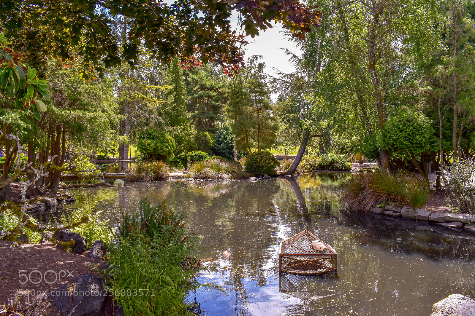 Nikon D3400 sample photo. Point defiance photography