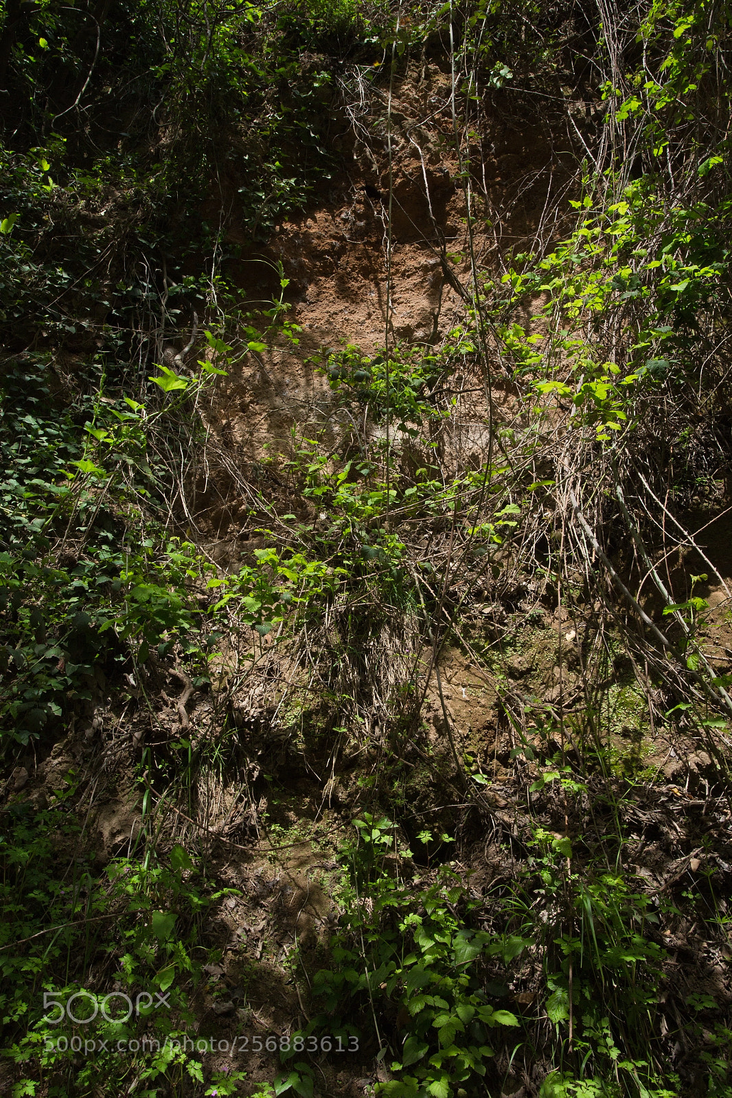 Canon EOS 6D sample photo. Chaos photography