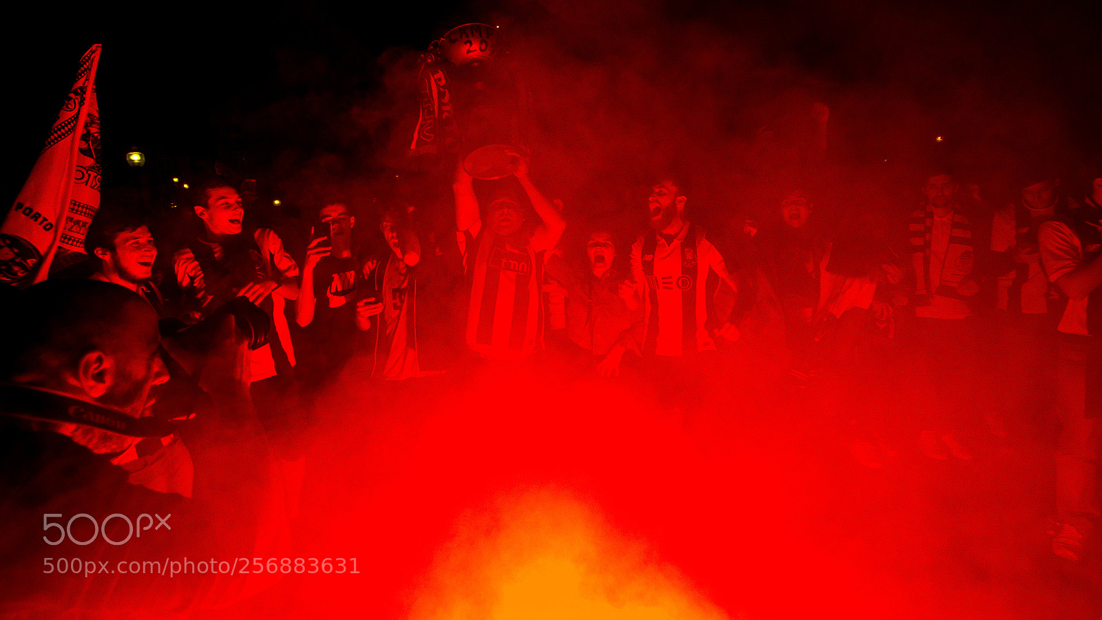Nikon D7000 sample photo. The flame of the photography