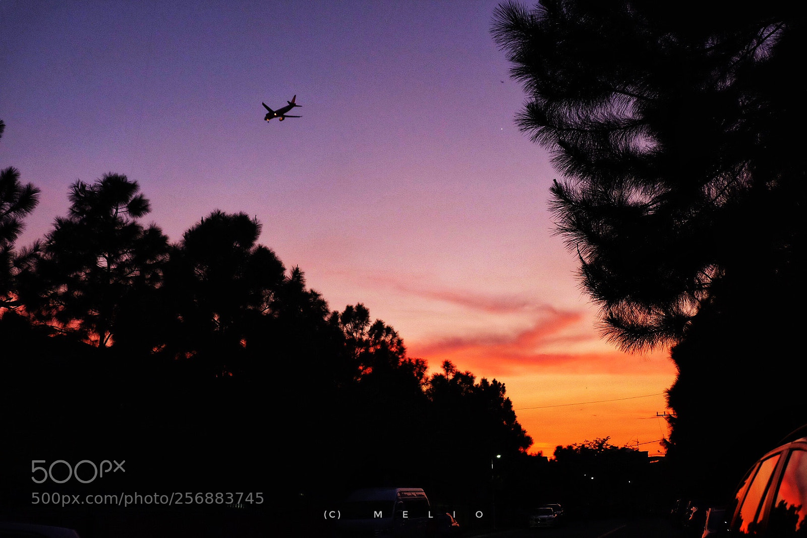 Fujifilm X-T10 sample photo. Untitled photography