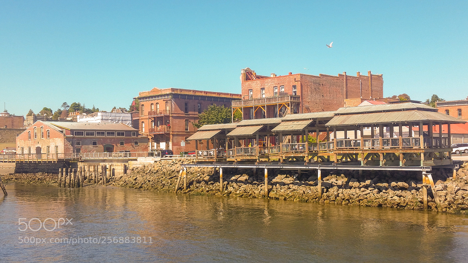 Samsung Galaxy S5 sample photo. Port townsend photography
