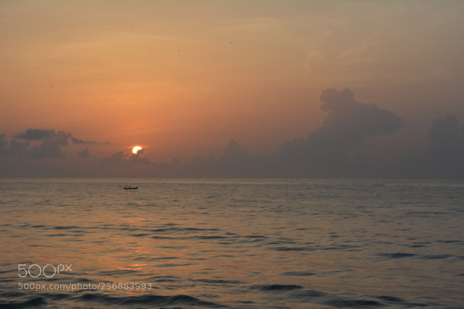 Nikon D5200 sample photo. Mother nature photography