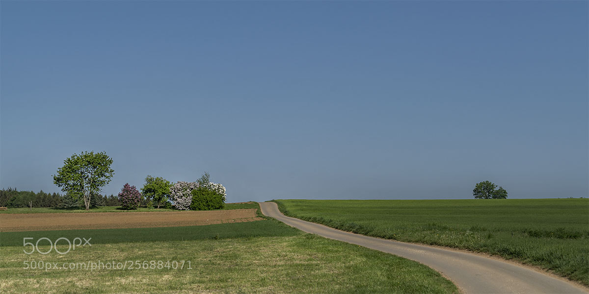 Sony a7R II sample photo. Eningen 060518-006 photography