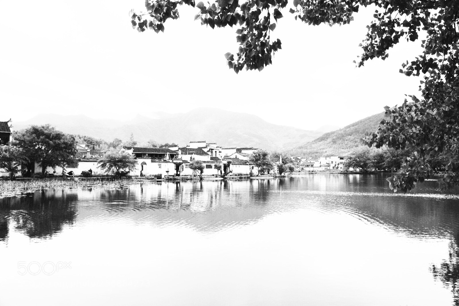 Nikon D750 sample photo. Region of rivers and photography