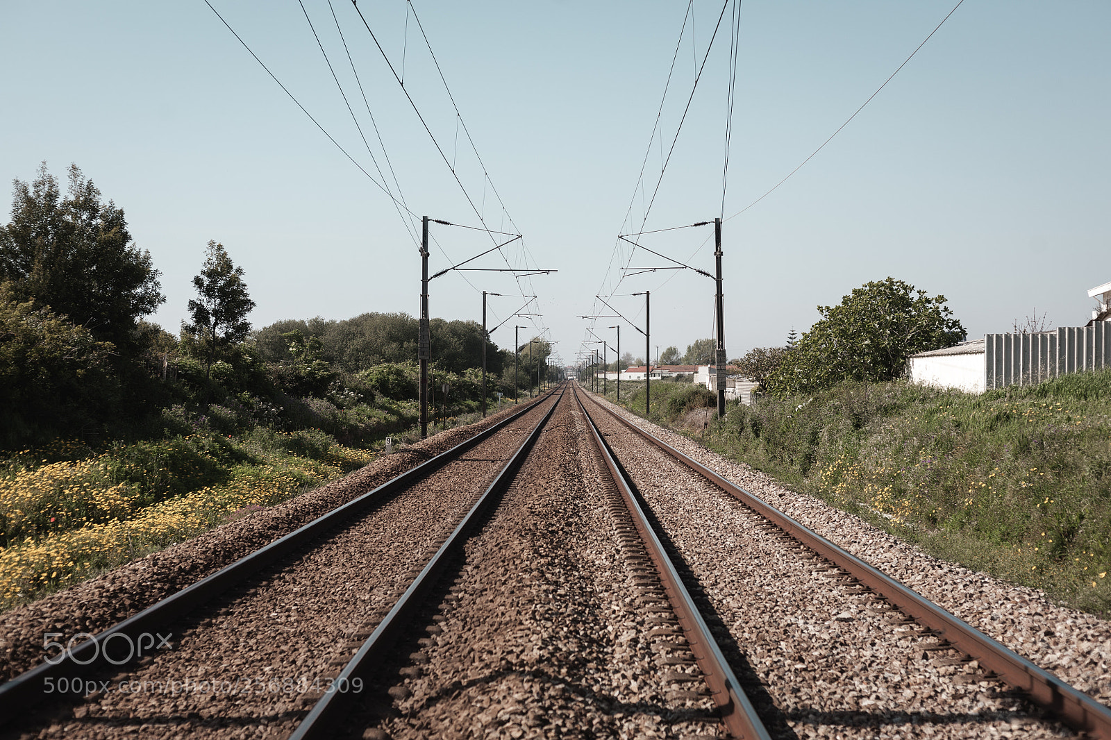Canon EOS 5D sample photo. Rail roads photography